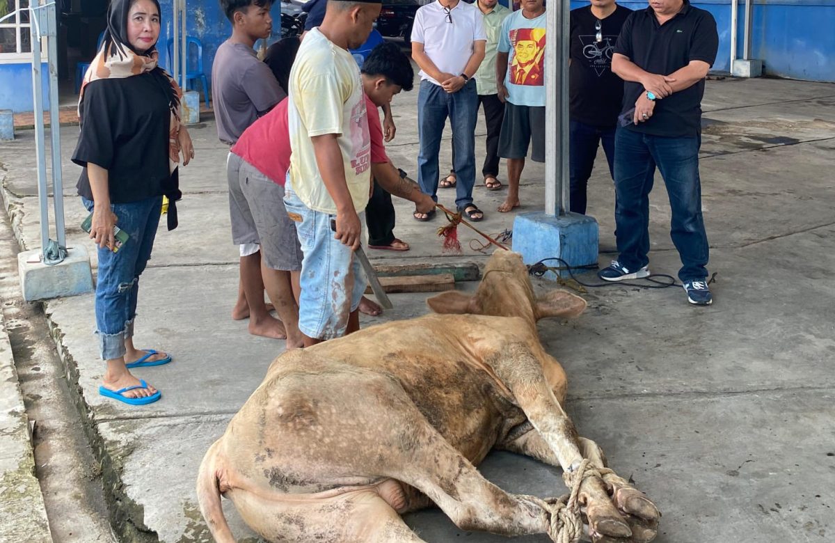 PAN Kota: Menebar Manfaat Lewat Kurban