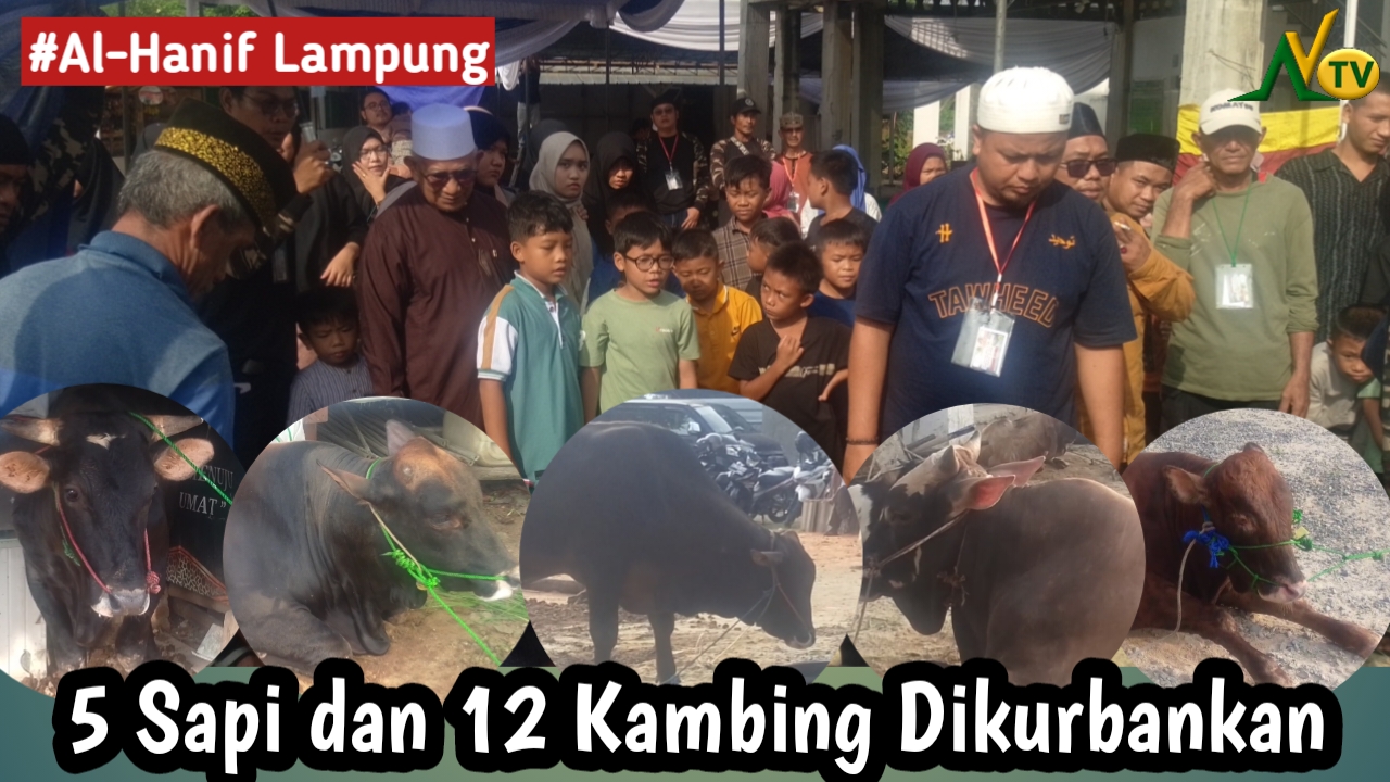 Aroma Kurban dan Semangat Berbagi di Al Hanif Lampung
