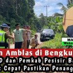 Jalan Amblas di Bengkunat, DPRD dan Pemkab Pesisir Barat Gerak Cepat Pastikan Penanganan